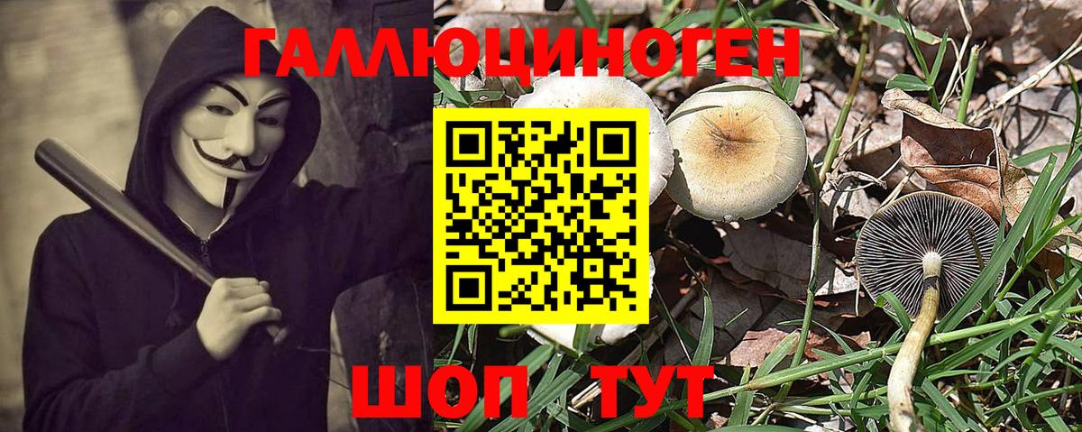Галлюциногенные грибы Cubensis Мичуринск