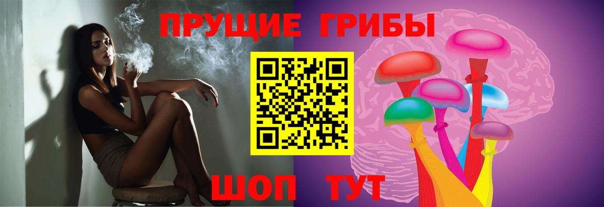 магазин продажи   Вход с VPN  Мичуринск  Галлюциногенные грибы прущие грибы 